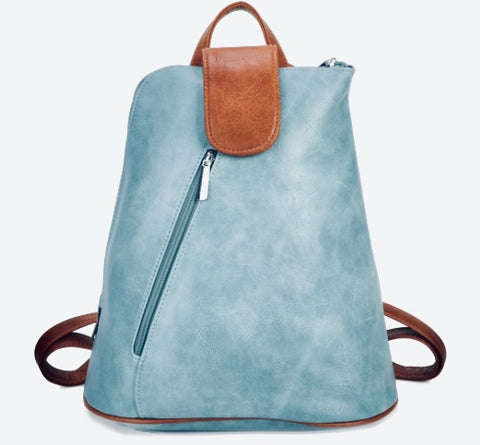 Blake two tone backpack -Blue